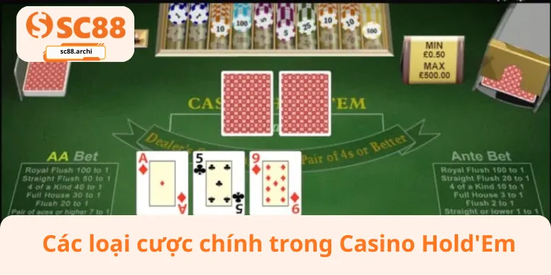 Các loại cược chính trong Casino Hold'Em